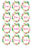 Cactus Table Numbers Download